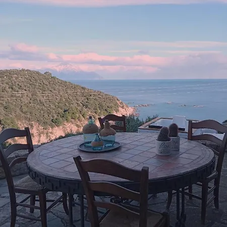 Haris * サルティ