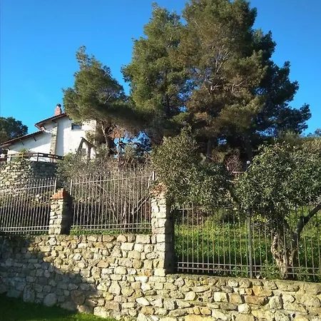 Haris Nyaraló Szárti