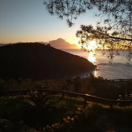 Nyaraló Haris Szárti